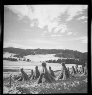 Erntezeit