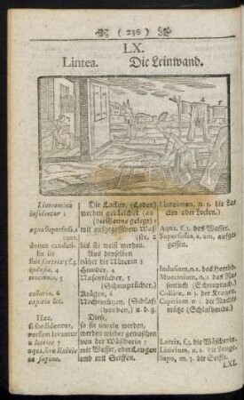 LX. Lintea. Die Leinwand