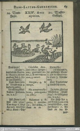 XXIV. Aves aquaticae