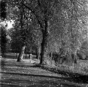 Rundwanderweg: Neuhöfer Teich: Baumlehrpfad: Spaziergängerin: rechts Teich, trockengelegt