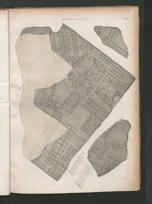 Fragmenta Vicorum.