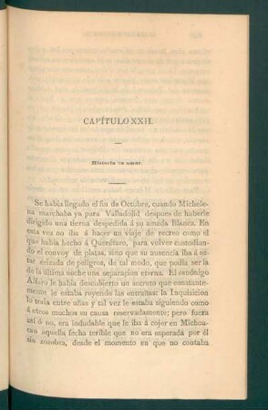 Capítulo XXII. - Historia de amor.