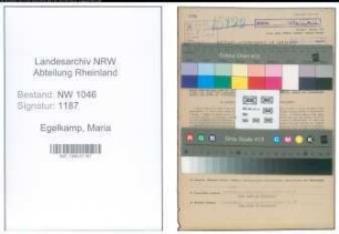 Entnazifizierung Maria Egelkamp , geb. 11.03.1918 (Kassenangestellte)