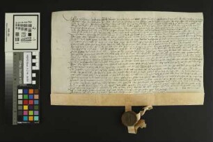 Heidesheim: Kaufbrief Heidesheim für Heinrich v. Stockheim