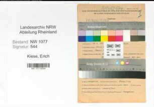 Entnazifizierung Erich Kiese , geb. 16.09.1899 (Polizist)