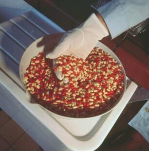 Gelatine-Kapseln