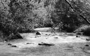 Triebischtal-Garsebach. Die Triebisch bei der Muckmühle