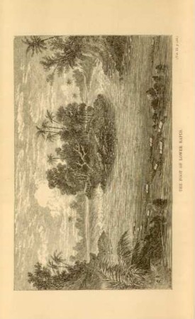 The foot of lower rapid