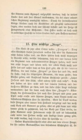 XV. Eine wichtige "Frage"