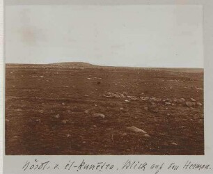 Nördl. v. el-kunetra. Blick auf den Hermon.