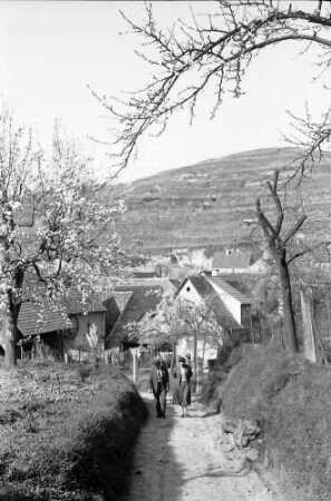 Bickensohl: Spaziergänger am Ortsausgang