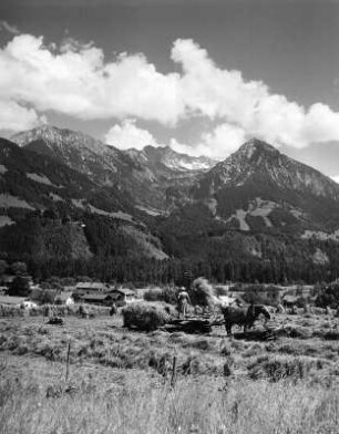 Gebirgslandschaft (vielleicht in den Allgäuer Alpen) während der Heuernte