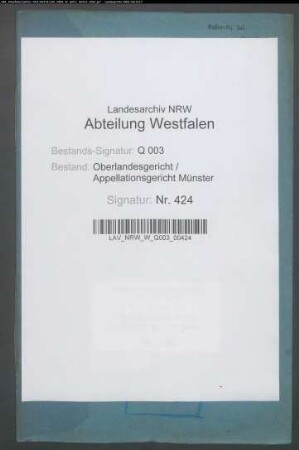 Fürst Alfred Salm-Salm ./. Graf von Salm-Hogstraeten wegen Erbstreitigkeiten XXXIX