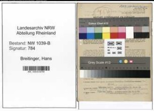 Entnazifizierung Hans Breitinger , geb. 15.01.1900 (Ingenieur)