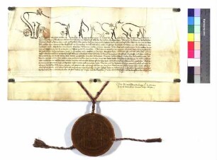 König Sigmund bestätigt Graf Eberhard von Württemberg ausführlich seine Privilegien.