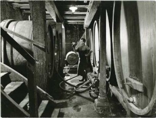 Ein Winzerkeller in Ihringen am Kaiserstuhl