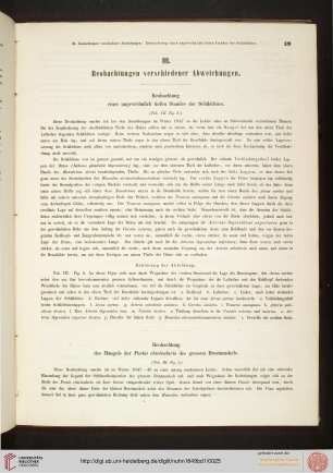 III. Beobachtungen verschiedener Abweichungen