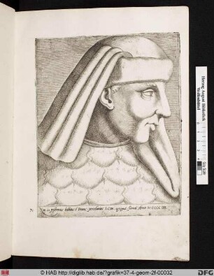 Non in postremis habitus e Franc. porcellinus.