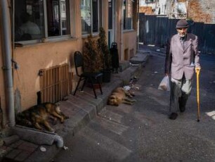 Türkei. Istanbul. Fatih