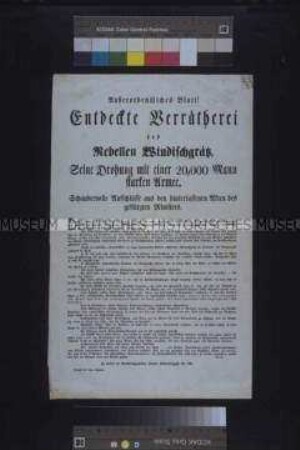 Flugblatt: Verdeckte Verräterei des Rebellen Windischgrätz. Flugschrift von Tory; undatiert