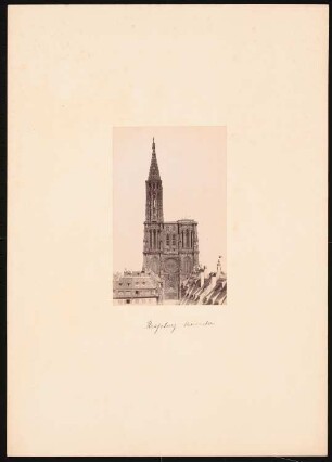 Münster, Straßburg: Ansicht von der Westseite
