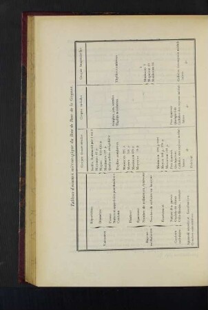 Tableau d'examen microscopique du Bois de Rose de la Guyane.