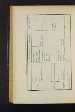 Tableau d'examen microscopique du Bois de Rose de la Guyane.