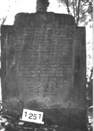 Grabstein 1251 (Index: 99900060) Material: Sandstein Zustand: angewittert Maße HxBxT: 115x85x10 cm Beschreibung: Stele mit Segmentbogenabschluss, im Bogenfeld Blüte Symbolik: Blüte: Grabstein 1251