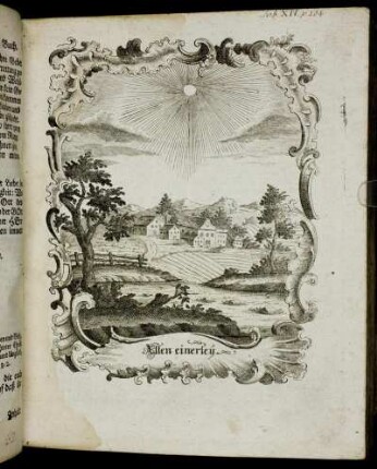 Tab. XIV. p. 104.