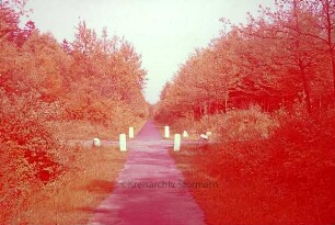 Lütjensee: Fahrradweg