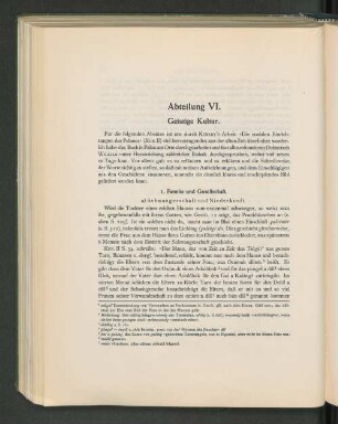 Abteilung VI. Geistige Kultur.