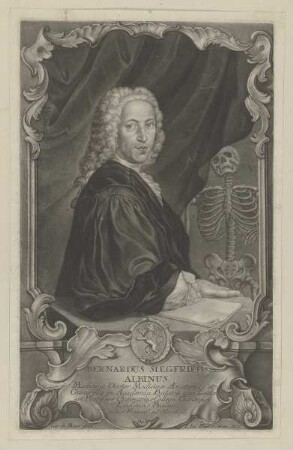 Bildnis des Bernardus Siegfried Albinus