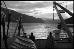 Sølsnes: Sognefjord, Schiffstreffpunkt