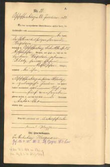 Standesamtsbuch der Stadt Aschaffenburg: Geburten 365/1900 - 184/1901