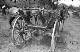 St. Konstantin: Wagen mit Bemalung, Bändiger