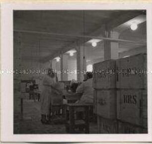 Osterholz-Scharmbeck, Reiswerke GmbH, Stärke- & Teigwarenfabrik