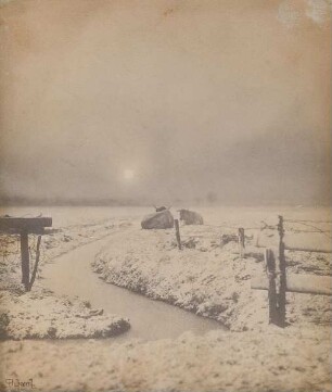 Soleil couchant sur les marais en neige