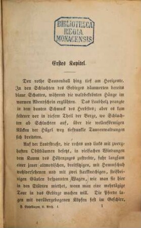 Problematische Naturen : Roman. 2,1, Durch Nacht zum Licht