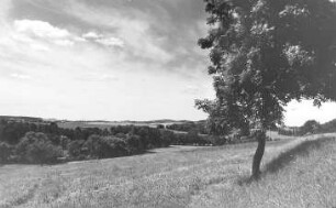 Löbau-Glossen. Blick ins Tal des Löbauer Wassers, unterhalb der Mühle