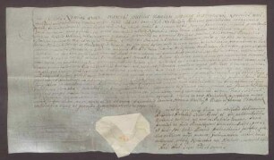 Procuratorium des Ernst Friedrich Twickel von Havixbeck für den Vikar Holzheimer.