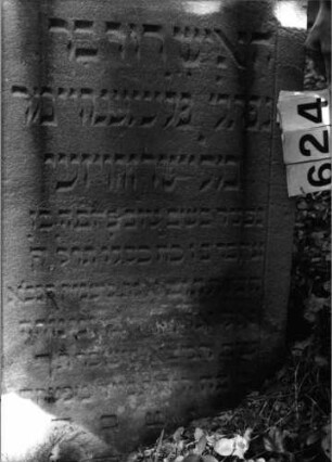 Grabstein 624 (Index: 99802912) Material: Sandstein Zustand: unten verwittert Maße HxBxT: 87x53x10 cm Beschreibung: Stele mit eingezogenem Rundbogen und Seitenakroterien Besonderheit: Endreim: Grabstein 624 (Detailaufnahme)