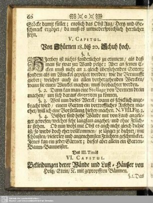 Cap. V. Von Thürmen 18. bis 20. Schuh hoch