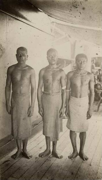 "Three men from Nusa (plantation workers in New Guinea)"