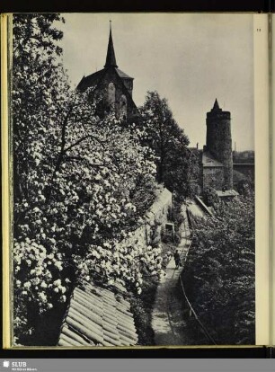 52 Der Osterweg