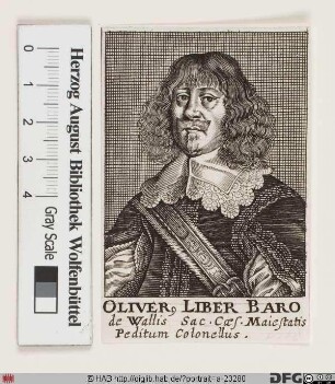 Bildnis Oliver Wallis (1640 Reichsfrhr. von)