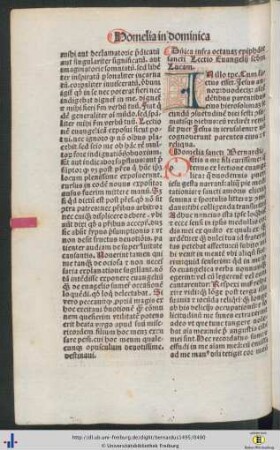 Homelia in dominica infra octava epiphanie