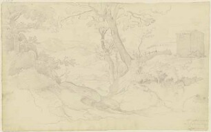 Bergige Waldlandschaft bei Affile