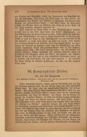VII. Geographische Bilder