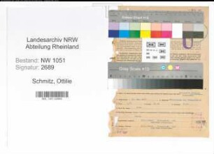 Entnazifizierung Ottilie Schmitz , geb. 12.05.1888 (Beamtin)
