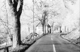 Mühlingen: Raureif auf der Straße; mit Haus an der Straße